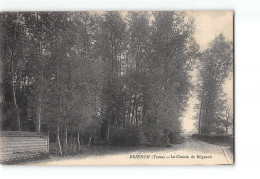 BRIENON - Le Chemin De Brignault - état - Brienon Sur Armancon