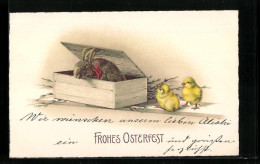 AK Osterhase Und Osterküken, Frohes Osterfest  - Ostern