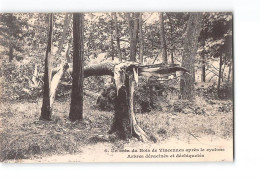 Un Coin Du Bois De VINCENNES Après Le Cyclone - Arbres Déracinés Et Déchiquetés - Très Bon état - Vincennes