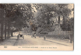 FONTENAY SOUS BOIS - Avenue De La Dame Blanche - Très Bon état - Fontenay Sous Bois