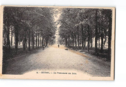 RETHEL - La Promenade Des Isles - Très Bon état - Rethel