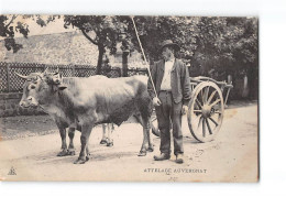 Attelage Auvergnat - Très Bon état - Sonstige & Ohne Zuordnung