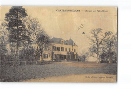 CHATEAUMEILLANT - Château Du Petit Besse - état - Châteaumeillant