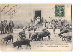 CALVI - La Bénédiction Des Cochons - Très Bon état - Calvi