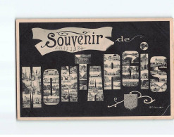 MONTARGIS : Carte Souvenir - état - Montargis