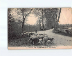 Route De Roncevaux, Un Troupeau - état - Other & Unclassified