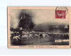 Moutons Au Pâturage Le Soir - Très Bon état - Other & Unclassified
