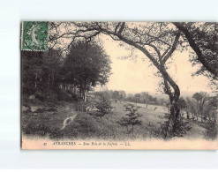 AVRANCHES : Sous Bois De La Nafrée - Très Bon état - Avranches