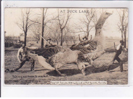 SURREALISME: Photo Montage, Chasse, At Duck Lake, Taking Our Geese To Market - Très Bon état - Andere & Zonder Classificatie