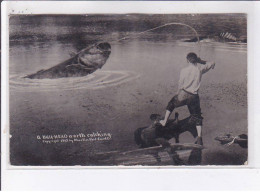 SURREALISME: Photo Montage, Pêche, A Bull-head, North Catching - Très Bon état - Other & Unclassified