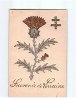 Carte Souvenir De Lorraine - Très Bon état - Other & Unclassified