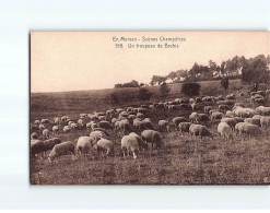 En Morvan, Scène Champêtre, Un Troupeau De Brebis - Très Bon état - Andere & Zonder Classificatie