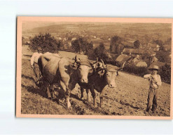 En Morvan, Le Labourage - Très Bon état - Other & Unclassified