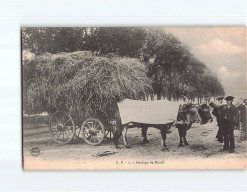 Attelage De Boeufs - Très Bon état - Other & Unclassified