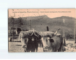 Boeufs Basquais Montagnards - Très Bon état - Andere & Zonder Classificatie