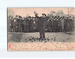 PARIS : Le Charmeur D'oiseaux Au Jardin Des Tuileries - état - Paris (01)