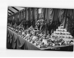 PARIS :Exposition D'Horticulture 1933, Nomblot - Très Bon état - Exhibitions