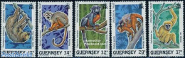 Guernsey 1989 Monkeys 5v, Mint NH, Nature - Animals (others & Mixed) - Monkeys - Guernsey