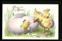AK Osterküken Schlüpfen Aus Dem Ei  - Easter