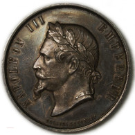 Médaille Argent Napoléon III Agriculture DROME Par DESAIDE ROQUELAY - Royaux / De Noblesse