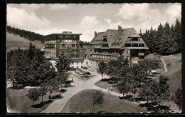 AK Feldberg /Schwarzwald, Hotel Feldbergerhof  - Feldberg