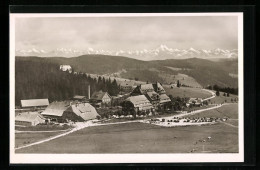 AK Feldberg I. Schw., Motel Feldbergerhof Mit Bergpanorama  - Feldberg