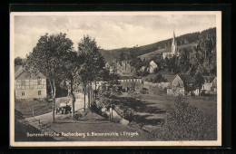 AK Rechenberg Bei Bienenmühle /Erzgeb., Ortsansicht Mit Landstrasse  - Rechenberg-Bienenmühle