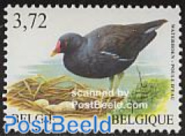 Belgium 2003 Bird 1v, Mint NH, Nature - Birds - Nuovi