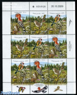 Israel 2010 Birds M/s, Mint NH, Nature - Birds - Unused Stamps (with Tabs)