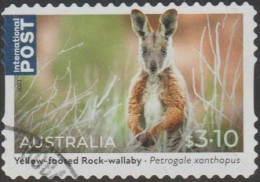 AUSTRALIA - DIE-CUT-USED 2023 $3.10 Native Animals, International - Yellow-footed Rock-Wallaby - Gebruikt