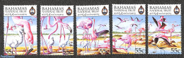 Bahamas 1999 National Trust, Flamingo's 5v, Mint NH, Nature - Birds - Flamingo - Other & Unclassified
