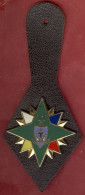 ** INSIGNE  41eme  REGIMENT  TRANSMISSIONS ** - Army