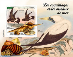 Chad 2023 Shells And Seabirds, Mint NH, Nature - Birds - Shells & Crustaceans - Sonstige & Ohne Zuordnung