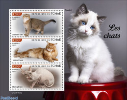 Chad 2023 Cats, Mint NH, Nature - Cats - Andere & Zonder Classificatie