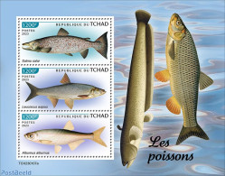 Chad 2023 Fishes, Mint NH, Nature - Fish - Sonstige & Ohne Zuordnung