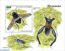 Chad 2023 Insects, Mint NH, Nature - Insects - Altri & Non Classificati