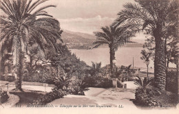 06-MONTE CARLO-N°4191-C/0371 - Altri & Non Classificati