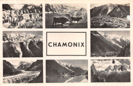 74-CHAMONIX  -N°4191-F/0383 - Chamonix-Mont-Blanc