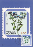 PORTUGAL Azores Maximum Card 349 - Otros & Sin Clasificación
