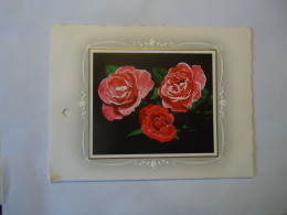 GERMANY  POSTCARDS  SPECIAL ROSES - Sonstige & Ohne Zuordnung