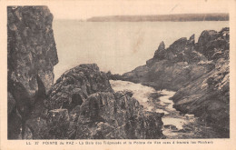 29-POINTE DU RAZ LA BAIE DES TREPASSES-N°5139-F/0235 - Altri & Non Classificati