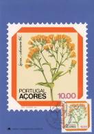PORTUGAL Azores Maximum Card 350 - Altri & Non Classificati