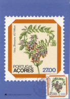 PORTUGAL Azores Maximum Card 351 - Autres & Non Classés