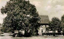 72729481 Born Darss Waldschaenke Alter Baum Born Darss - Sonstige & Ohne Zuordnung