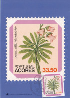 PORTUGAL Azores Maximum Card 352 - Altri & Non Classificati