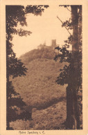 67-ANDLAU CHATEAU DE SPESBOURG-N°4192-D/0059 - Autres & Non Classés