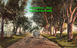 R416882 Oiled Country Road In California. Near Bakersfield. Edw. H. Mitchell - World