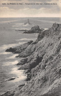 29-LA POINTE DU RAZ-N°4193-B/0295 - La Pointe Du Raz