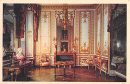 78-VERSAILLES LE CHÂTEAU-N°5141-A/0103 - Versailles (Château)