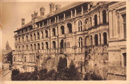 41-BLOIS LE CHÂTEAU-N°5141-D/0389 - Blois